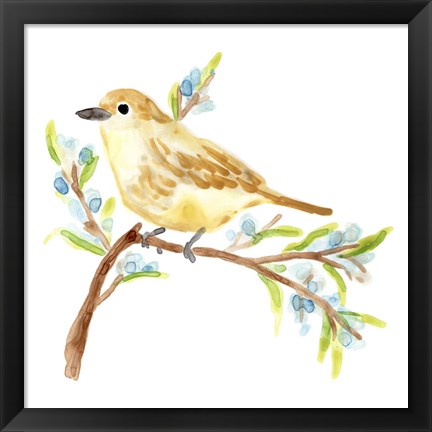 Framed Springtime Songbirds II Print