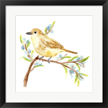 Framed Springtime Songbirds II Print