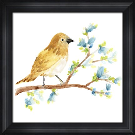 Framed Springtime Songbirds III Print