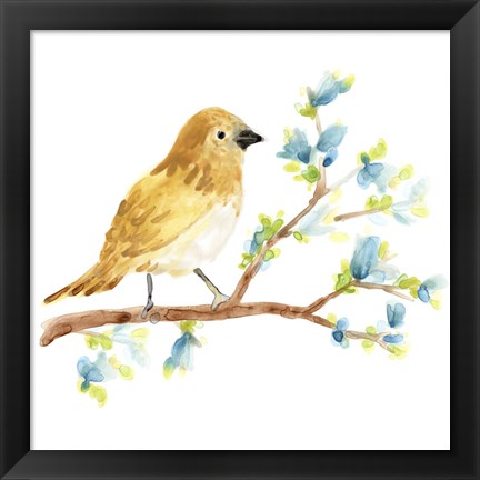 Framed Springtime Songbirds III Print