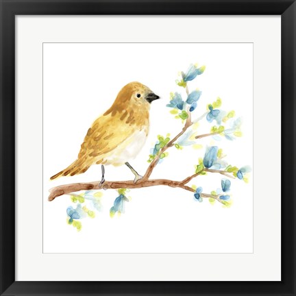 Framed Springtime Songbirds III Print