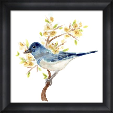 Framed Springtime Songbirds IV Print