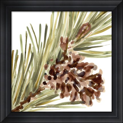 Framed Simple Pine Cone I Print