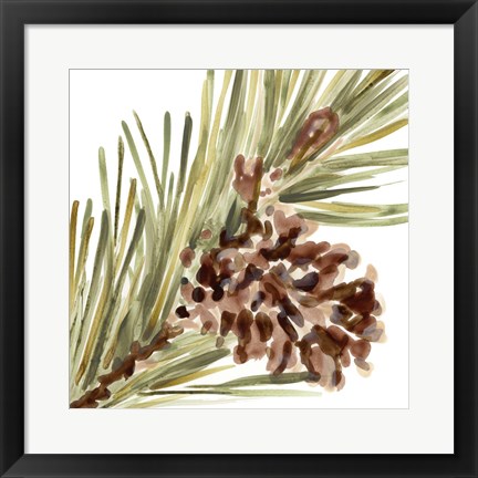 Framed Simple Pine Cone I Print