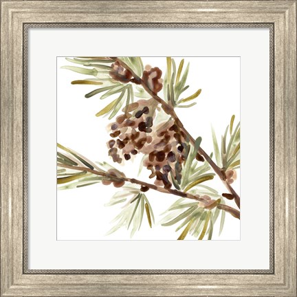 Framed Simple Pine Cone II Print