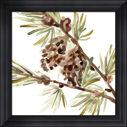 Framed Simple Pine Cone II Print