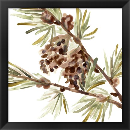 Framed Simple Pine Cone II Print