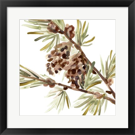 Framed Simple Pine Cone II Print