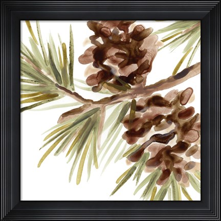 Framed Simple Pine Cone IV Print