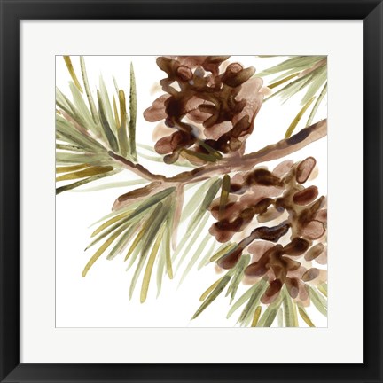 Framed Simple Pine Cone IV Print