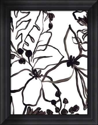 Framed Tropical Outlines IV Print