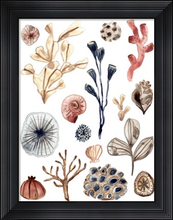 Framed Ocean Assortment I Print