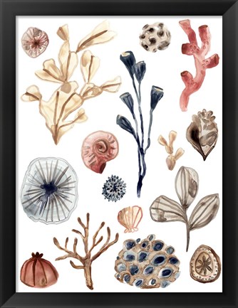 Framed Ocean Assortment I Print