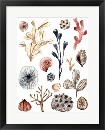 Framed Ocean Assortment I Print