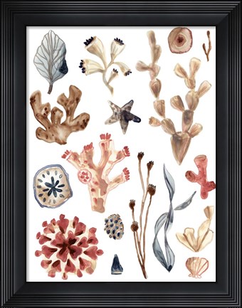 Framed Ocean Assortment II Print