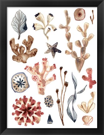 Framed Ocean Assortment II Print