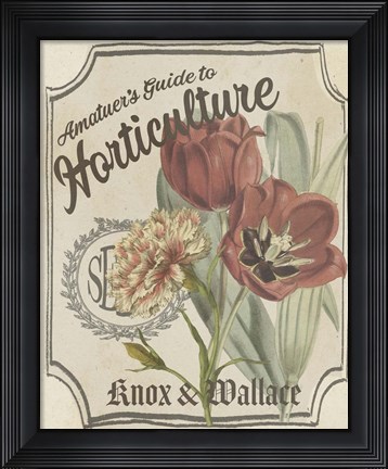 Framed Vintage Seed Packets I Print