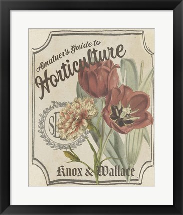 Framed Vintage Seed Packets I Print