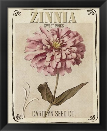 Framed Vintage Seed Packets II Print