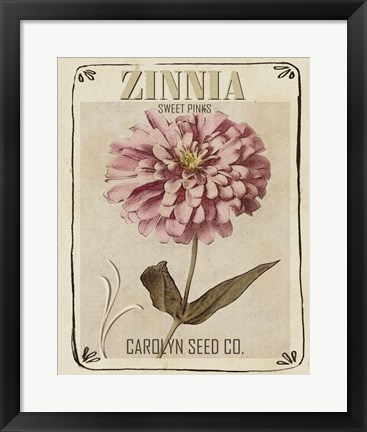 Framed Vintage Seed Packets II Print