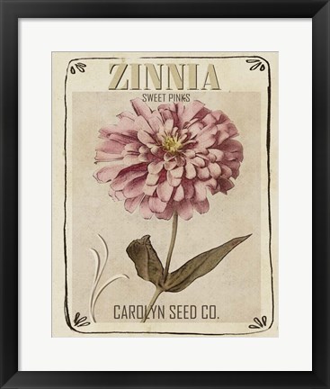 Framed Vintage Seed Packets II Print