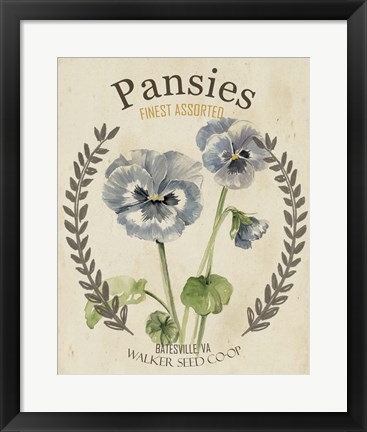 Framed Vintage Seed Packets III Print