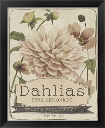 Framed Vintage Seed Packets IV Print