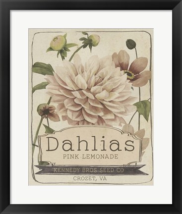 Framed Vintage Seed Packets IV Print