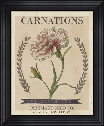 Framed Vintage Seed Packets V Print
