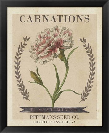 Framed Vintage Seed Packets V Print