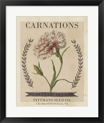 Framed Vintage Seed Packets V Print