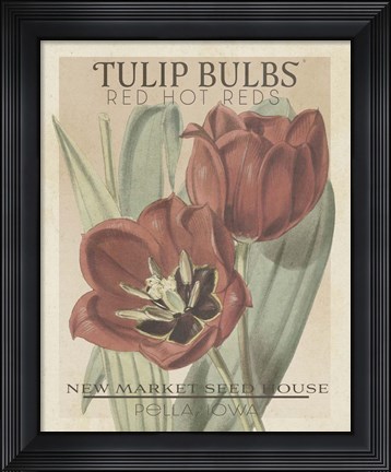 Framed Vintage Seed Packets VI Print