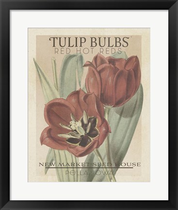 Framed Vintage Seed Packets VI Print