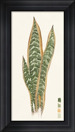 Framed Snake Plants I Print