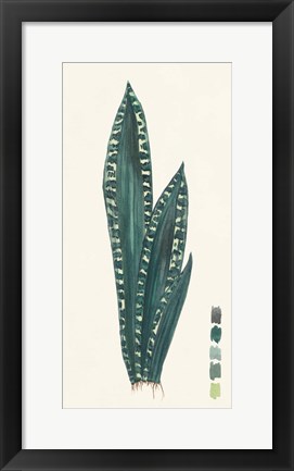 Framed Snake Plants III Print