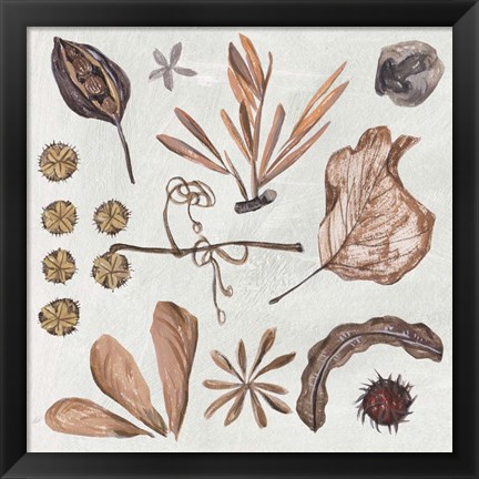 Framed Small Things VI Print