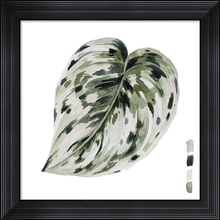 Framed Scindapsus I Print