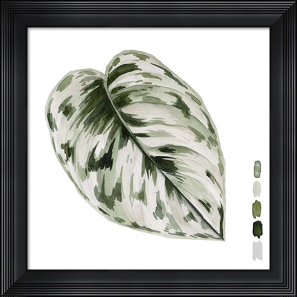 Framed Scindapsus IV Print
