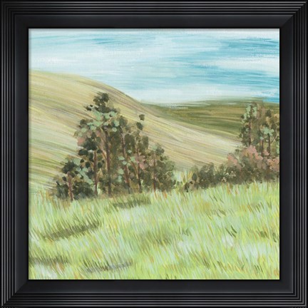 Framed Hill Lines IV Print
