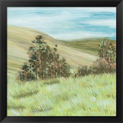 Framed Hill Lines IV Print