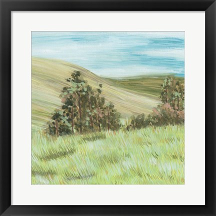 Framed Hill Lines IV Print