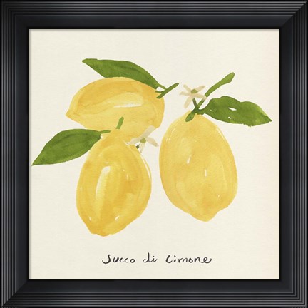 Framed Citrus Trattare I Print