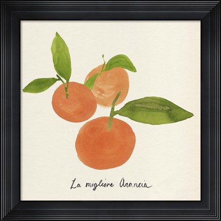 Framed Citrus Trattare II Print