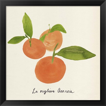 Framed Citrus Trattare II Print