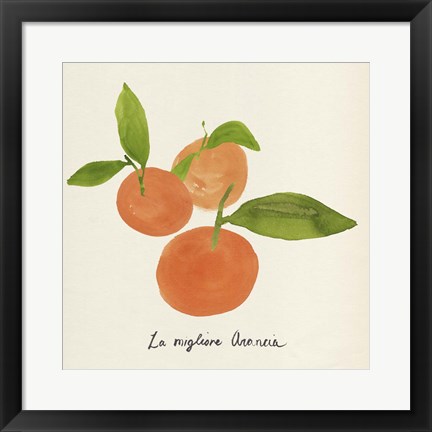 Framed Citrus Trattare II Print