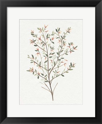 Framed Single Sprig III Print