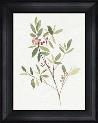 Framed Single Sprig IV Print