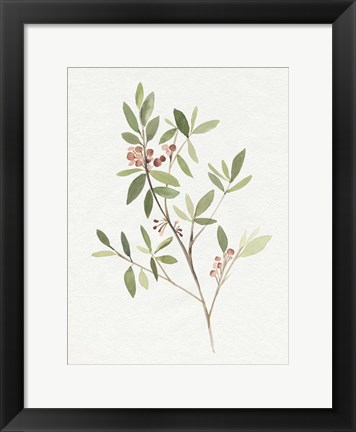 Framed Single Sprig IV Print