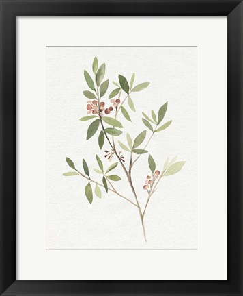 Framed Single Sprig IV Print