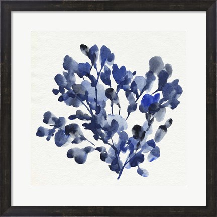 Framed Cobalt Blossom II Print